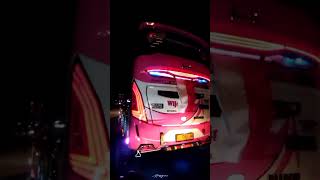 Cinematic Bus Pariwisata Wijaya Trans FEMINIM