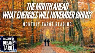 🍁🍂🦃YOUR MONTH AHEAD🦃🍂🍁 NOVEMBER ENERGY! WHAT WILL HAPPEN IN THE COMING MONTH?