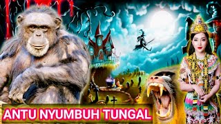 Antu Nyumbuh Tunggal