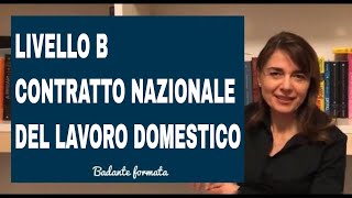 CONTRATTO NAZIONALE COLLETTIVO DEL LAVORO DOMESTICO LIVELLO B