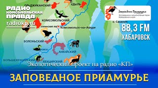 5 июня День эколога в России и Всемирный день окружающей среды. Заповедное Приамурье!