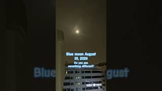 Blue Moon August 19, 2024 4:00 AM #moonlight #highlights