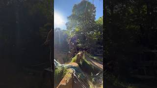 Sunny laps of digswell by Ollie #sick #mtb #dirtjumper #mtbbike #steezy #sunny