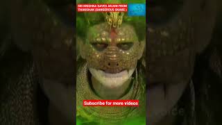 कृष्ण ने अर्जुन को तक्षक नाग अस्त्र से बचाया ll #mahabharat #lordkrishna #mahabharata #shorts #viral