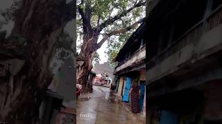 ganga jamuna nagpur latest video #gangajamunanagpur#nagpur