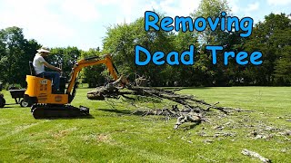 Removing the old pair tree