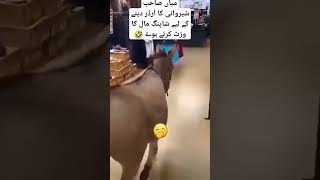 میاں صاحب شیروانی کا آرڈر دینے کے لیے شاپنگ مال کا وزٹ کرتے ہوۓ 🤣