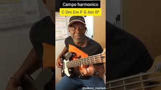 campo harmonico padrão C maior // exercício básico ✅ #bass #doublebass #bassguitar