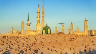 8th Shawwal | Demolition of Jannatul Baqi | Youm E Inhedam Jannatul Baqi | Ay Jannatul Baqi Status