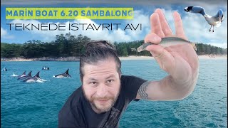 İSTANBUL'DA MARİN BOAT SAMBA LONG 6.20 TEKNE İLE SOLO İSTAVRİT AVI