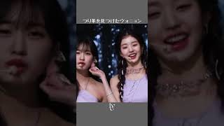 つり革を見つけたウォニョン [아이브/IVE]