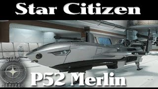 Star Citizen: P52 Merlin Overview