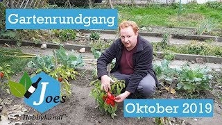 Gartenrundgang Oktober 2019