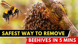 How to Humanely Remove a Beehive From Your Yard (Safe & Easy Methods)