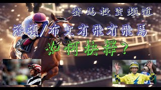 賽馬投資-布文#潘頓有飛冇飛馬如何選擇?