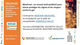 WeeFrost : un nouvel outil prédictif pour mieux protéger les vignes et les vergers contre le gel