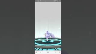 Shiny Alolan Vulpix Evolved into Alolan Ninetales in Pokemon Go!