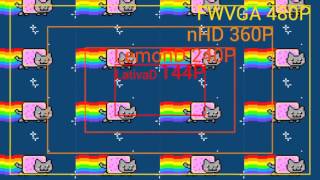 nyan cat