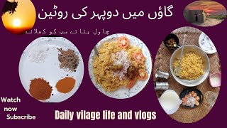 Village men dupher ki routine |chawal recipe |simple pulao