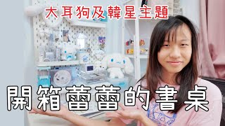 (Vlog) 介紹 蕾蕾最新整理的書桌 有許多大耳狗及韓星周邊/ ikea好用的洞洞板 [蕾蕾TV] [Lei Lei TV]