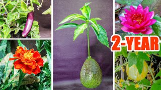 Plant Growing Time Lapse Compilation - 2 Years In 8 Mins