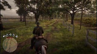 Red Dead Redemption 2_20240120210849