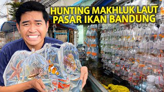 HUNTING MAKHLUK LAUT DI PASAR IKAN TERBESAR BANDUNG!  AKHIRNYA DAPAT MAKHLUK YANG KITA CARI!