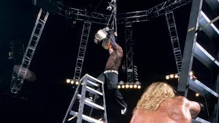 Pro Wrestling Ladder Moments