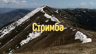 ГОРА СТРИМБА 1719 м | Закарпатські Ґорґа́ни