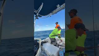 Slow pitch jigging #fishing #tuna #fish #fishinglife #ocean #bigfish