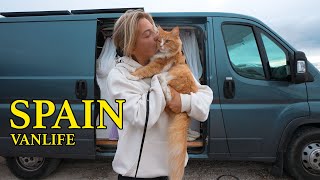 Living Vanlife in Spain with a Cat | Spain Travel Video 4K 🇪🇸 | EP02