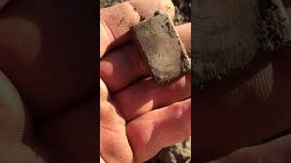 На два пальці  #metaldetecting #коп  #металошукач