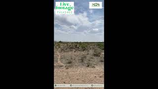 Great 5 Acres of Land in Luna County NM! #2402