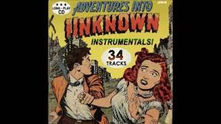 Various - Adventures Into Unknown Instrumentals Vol. 1 50's 60's Spooky Weird Surf Rock & Roll Music