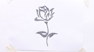 How to draw a rose flower