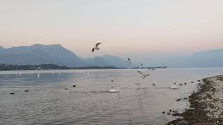 lake Garda Is magic - Slowmotion