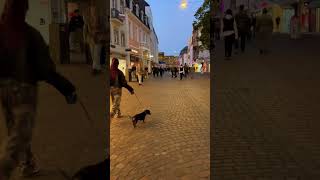 Trier | Germany | Night Walk #viral #shorts #germany