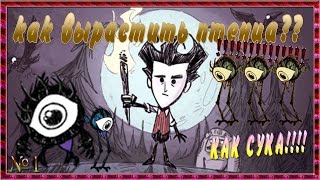 Как вырастить птенца одноглазой птицы в Don't Starve