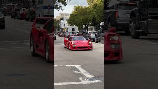 Ferrari F40 Turning heads in Miami