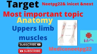 upper limb muscles image attachment#neetpg#neetpg22#inicet#next# high yielding image#mediconeetpg22