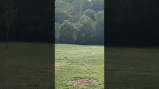 Calvin Heimburg teeing off on hole 7 at USDGC #discgolf