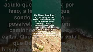 Mensagens de Reflexão de Deus | #MensagensdeReflexãodeDeus Para a santidade - 1ª Tessalonicenses 4:7