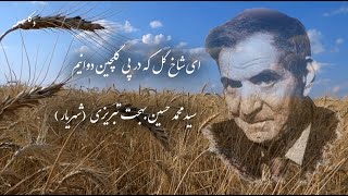 Persian Poem (ای شاخ گل که در پی گلچین دوانیم) دکلمه شعر استاد شهریار