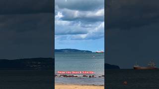 Flight and Ferry over a beach | Helen’s bay , North Sea | NI UK #shorts #beach #flight #ferry #sea