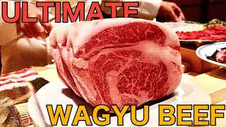 THE ULTIMATE WAGYU BEEF in GINZA! - Japanese Food【Japanese Food】【japan travel】【Omakase】【tokyo vlog】