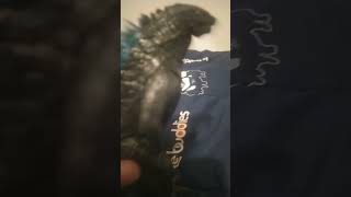 Godzilla le pega a un gumba amistoso pesao