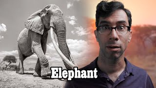 Grading Animals Elephant