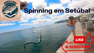 Pesca spinning em Setúbal