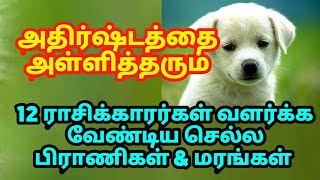 அதிர்ஷ்டத்தை அள்ளித்தர 12 ராசிக்காரர்களும் வளர்க்க வேண்டிய செல்லப்பிராணிகள் & மரங்கள்