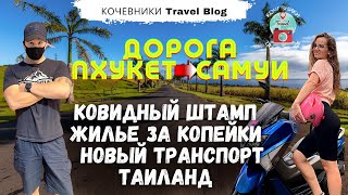 Жуткая поездка Пхукет-Самуи. Новое жилье 18к/мес. Новый транспорт. Что с Ковидным штампом?Тай открыт